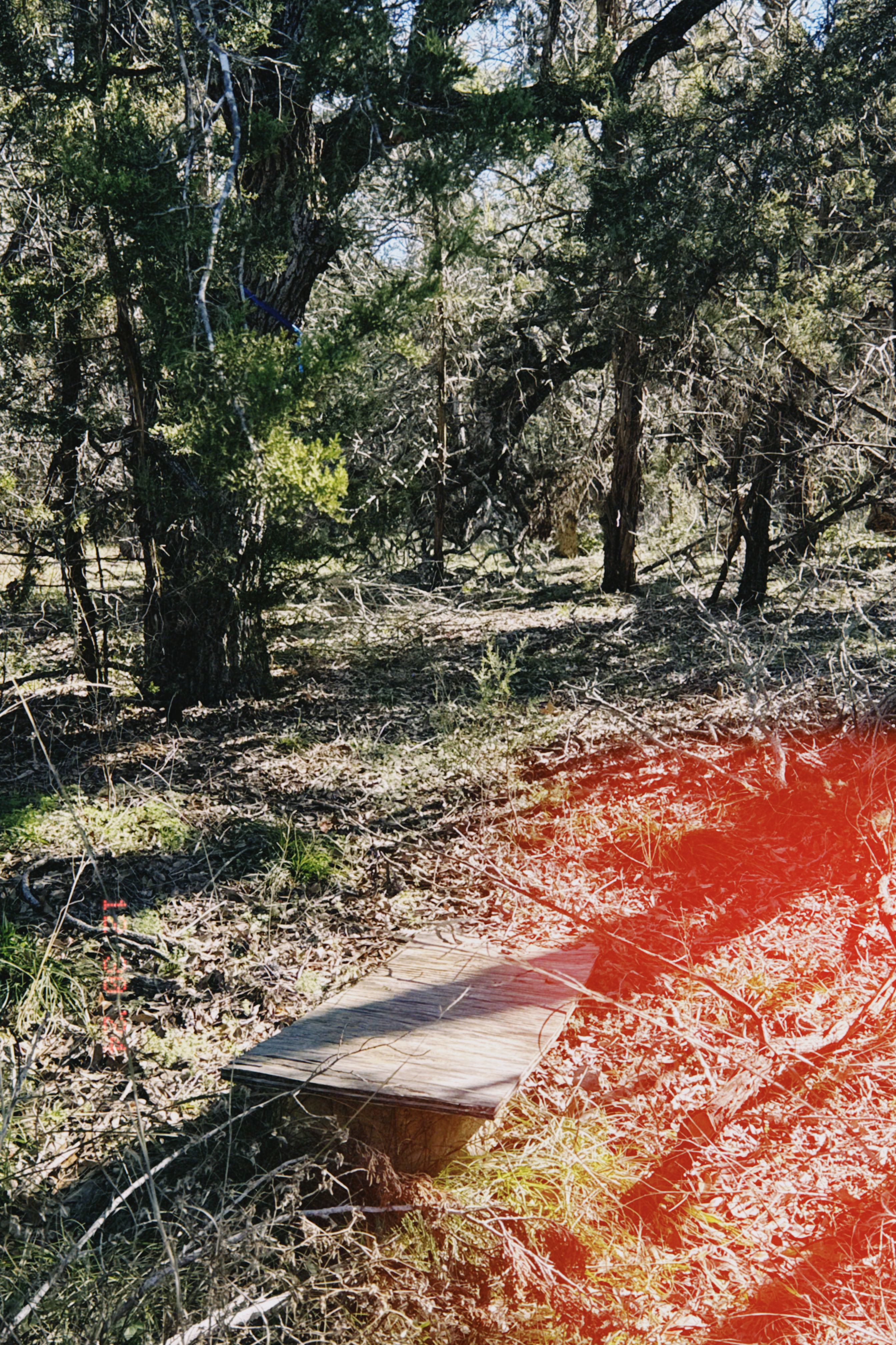 Rainbow Ranch Photo 5