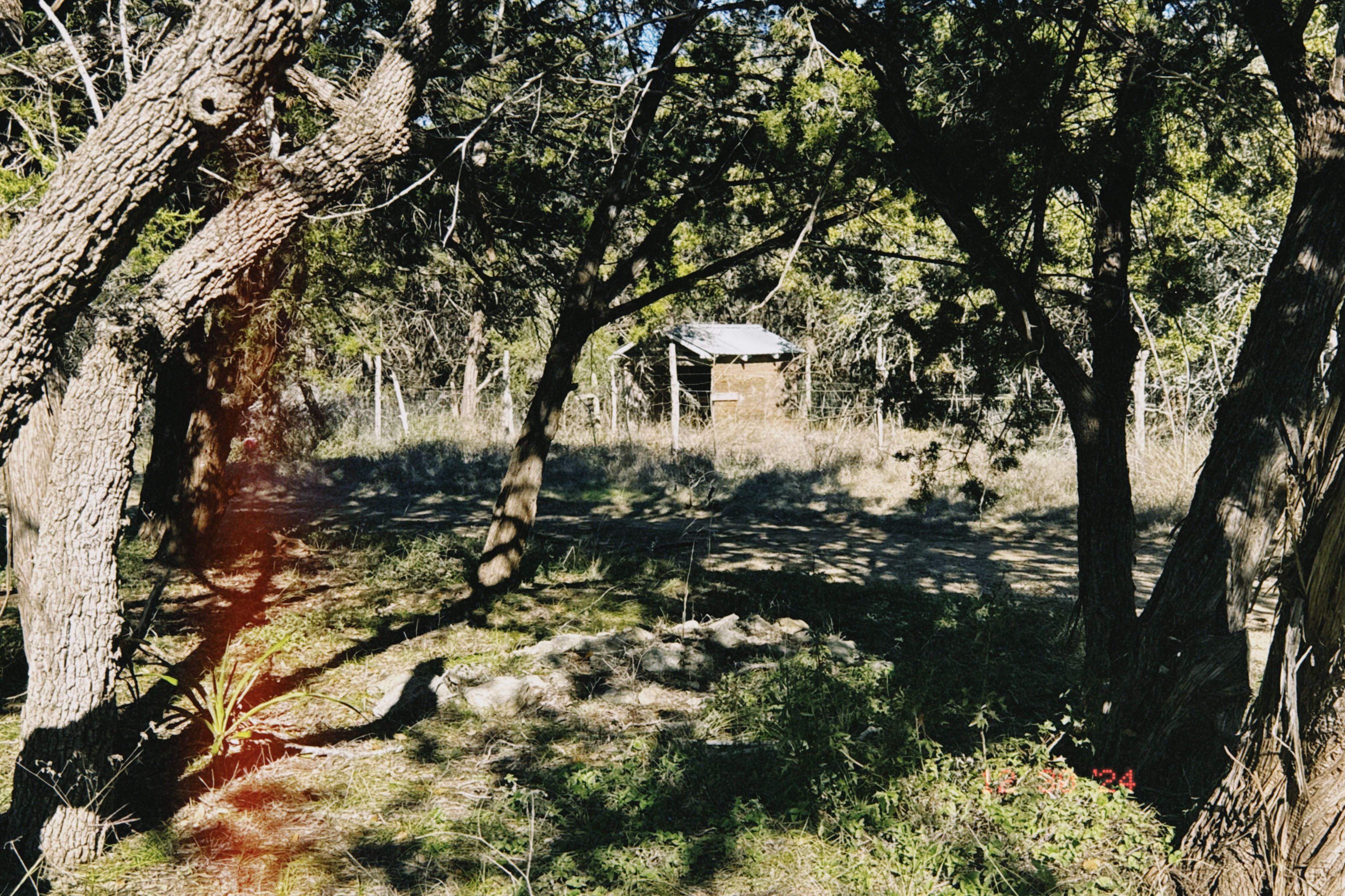 Rainbow Ranch Photo 6