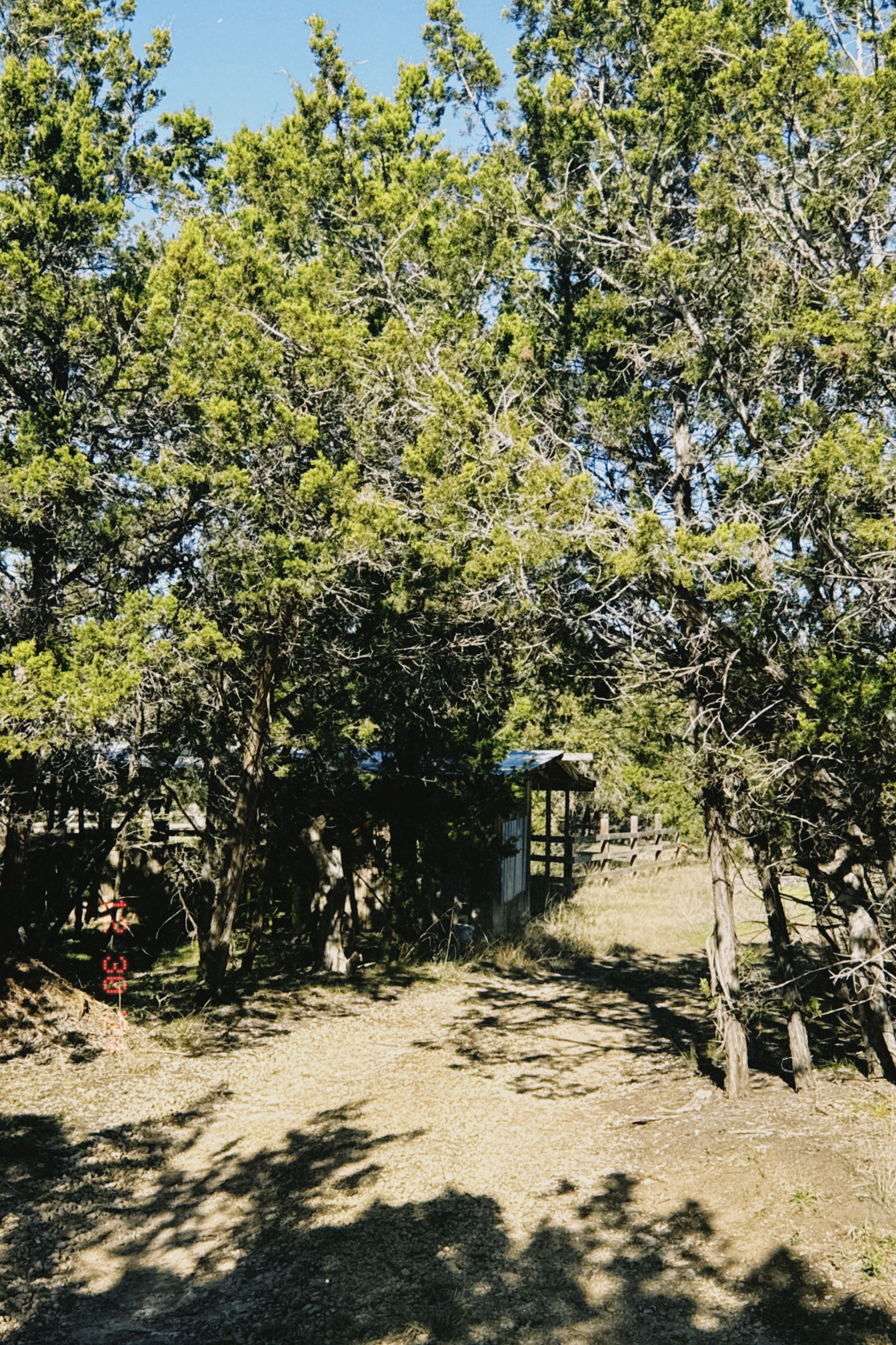 Rainbow Ranch Photo 11