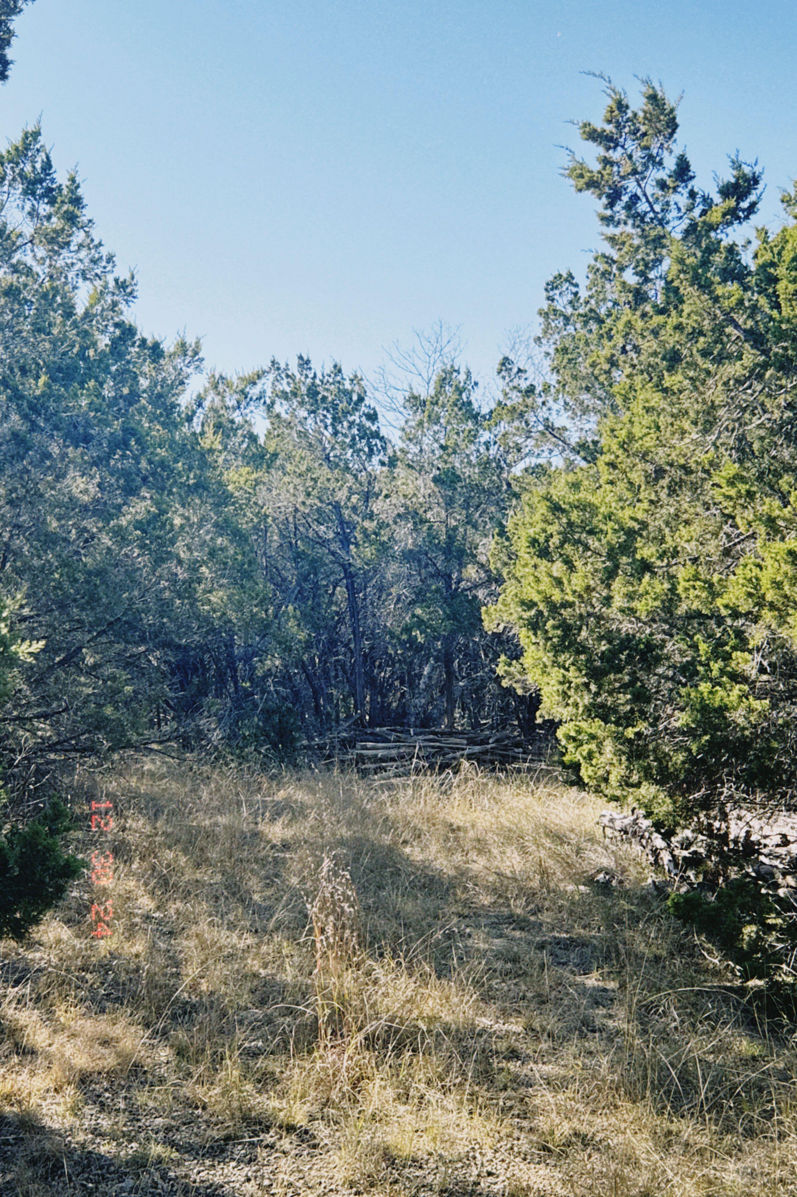 Rainbow Ranch Photo 12