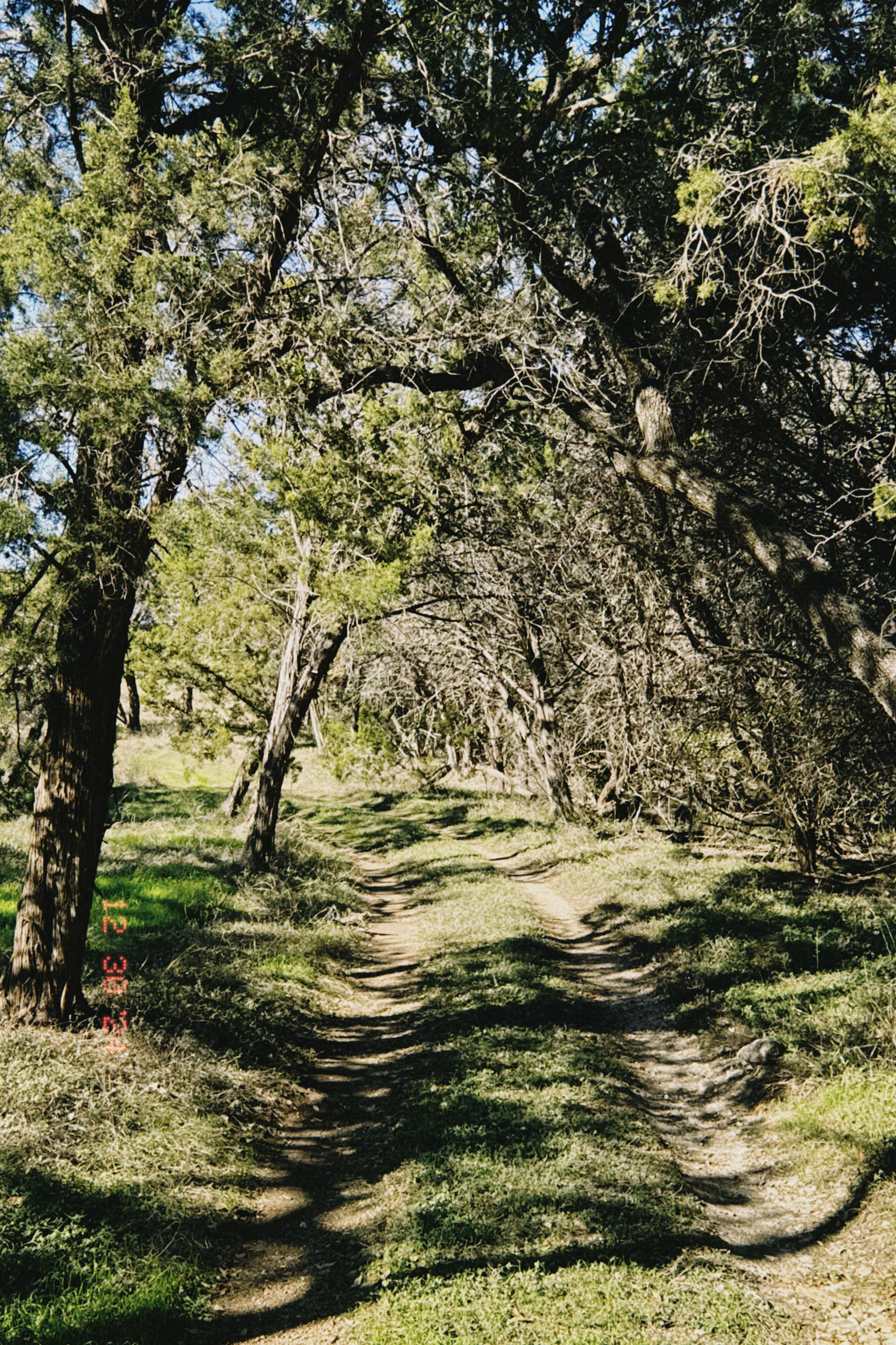 Rainbow Ranch Photo 25