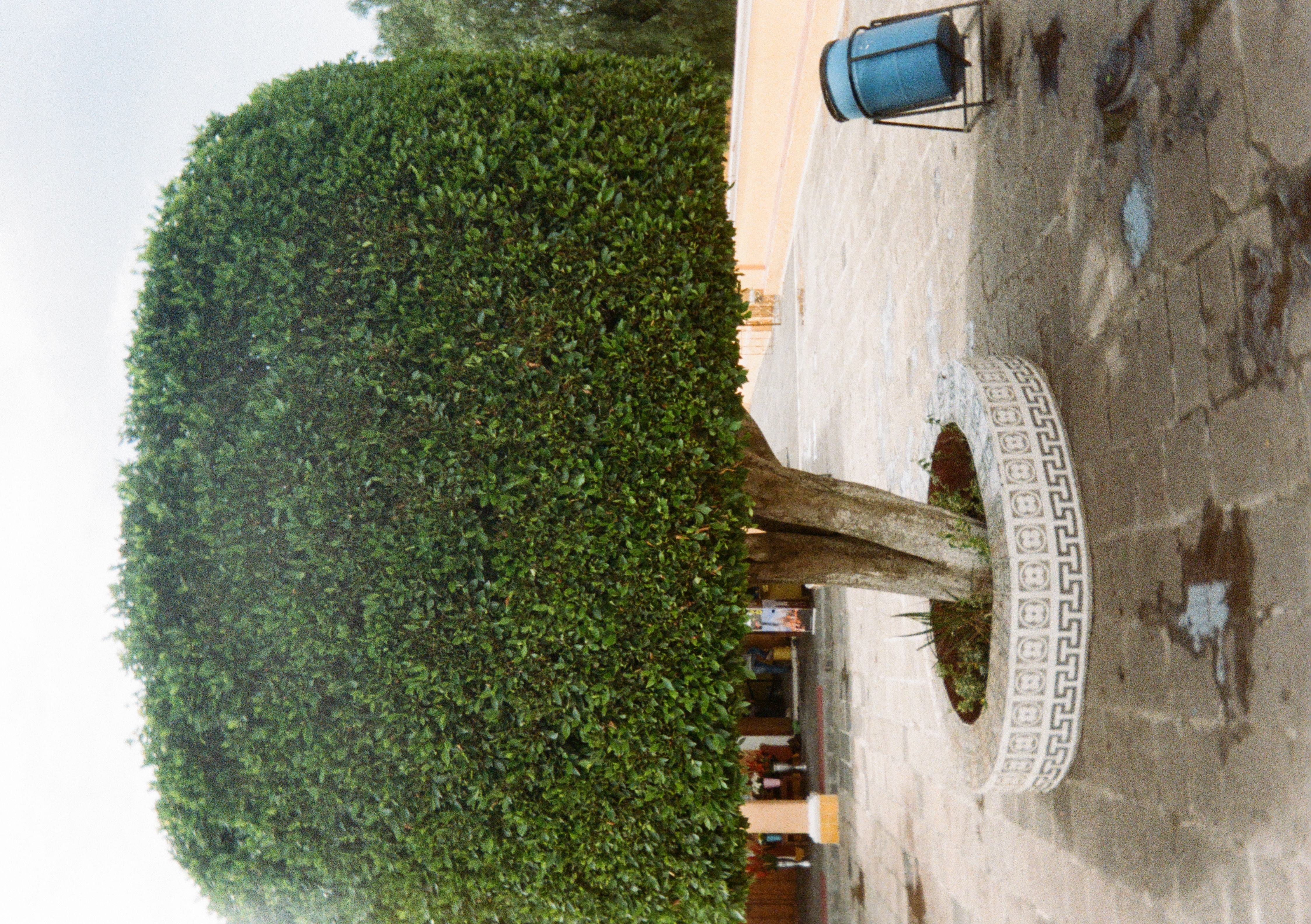 Summer 2025 Photo 13