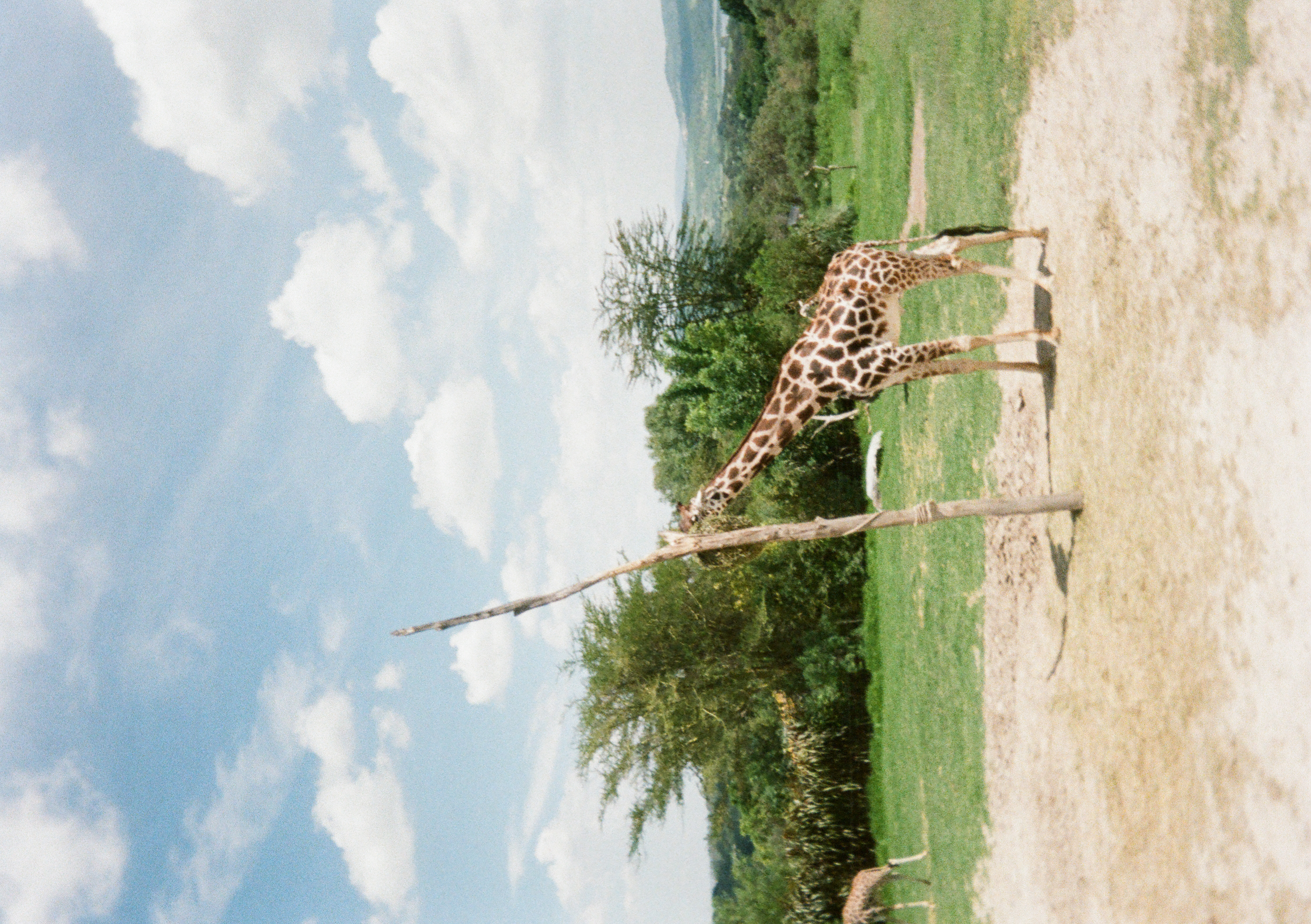 Summer 2025 Photo 29