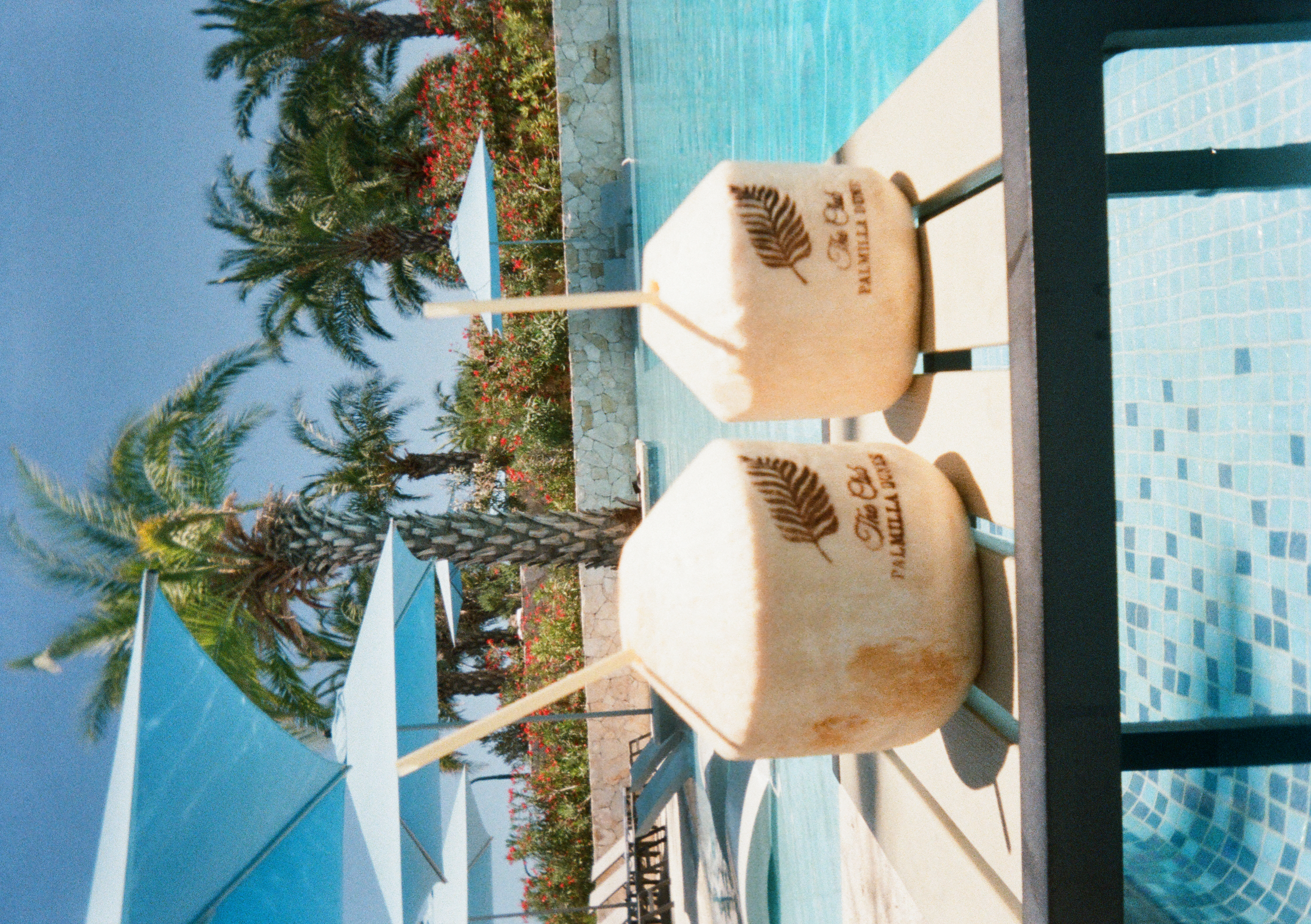 Summer 2025 Photo 47