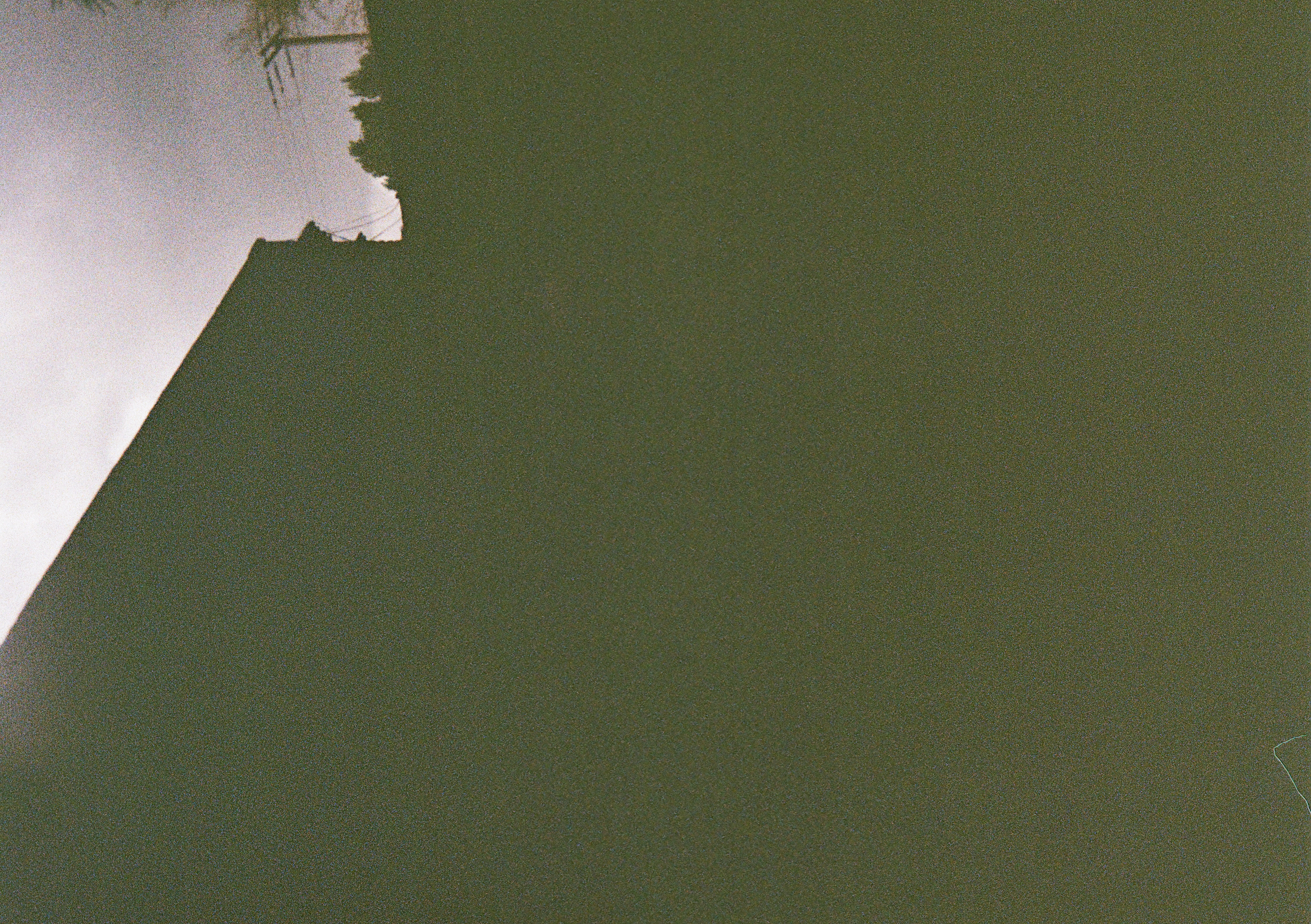 Summer 2025 Photo 62